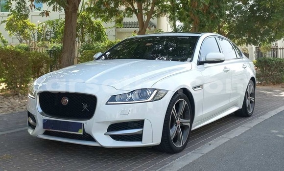 Acheter Occasion Voiture Jaguar XF Blanc à Maseru, Maseru