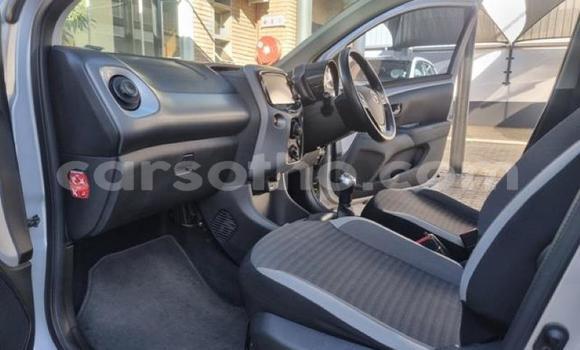 اشتري مستعمل Toyota Aygo Silver سيارة في Maseru في Maseru اشتري مستعمل Toyota Aygo Silver سيارة في Maseru في Maseru