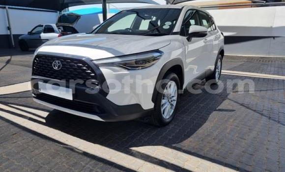 Acheter Occasion Voiture Toyota Corolla Cross Blanc à Maseru, Maseru