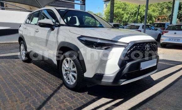 Acheter Occasion Voiture Toyota Corolla Cross Blanc à Maseru, Maseru Acheter Occasion Voiture Toyota Corolla Cross Blanc à Maseru, Maseru