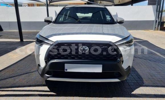 Acheter Occasion Voiture Toyota Corolla Cross Blanc à Maseru, Maseru Acheter Occasion Voiture Toyota Corolla Cross Blanc à Maseru, Maseru