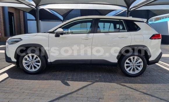 Acheter Occasion Voiture Toyota Corolla Cross Blanc à Maseru, Maseru Acheter Occasion Voiture Toyota Corolla Cross Blanc à Maseru, Maseru