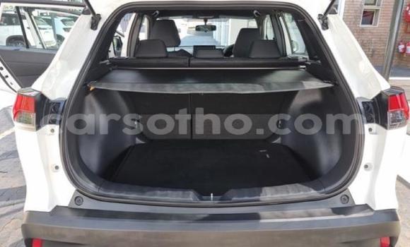 Acheter Occasion Voiture Toyota Corolla Cross Blanc à Maseru, Maseru Acheter Occasion Voiture Toyota Corolla Cross Blanc à Maseru, Maseru