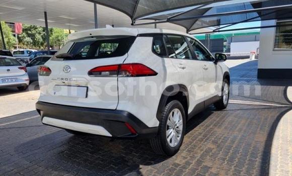 Acheter Occasion Voiture Toyota Corolla Cross Blanc à Maseru, Maseru Acheter Occasion Voiture Toyota Corolla Cross Blanc à Maseru, Maseru