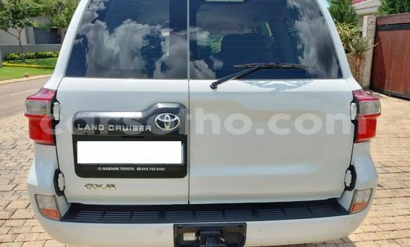 Sayi Na hannu Toyota Land Cruiser White Mota in Maseru a Maseru Sayi Na hannu Toyota Land Cruiser White Mota in Maseru a Maseru