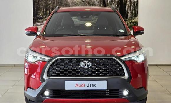 اشتري مستعمل Toyota Corolla Cross Red سيارة في Maseru في Maseru اشتري مستعمل Toyota Corolla Cross Red سيارة في Maseru في Maseru