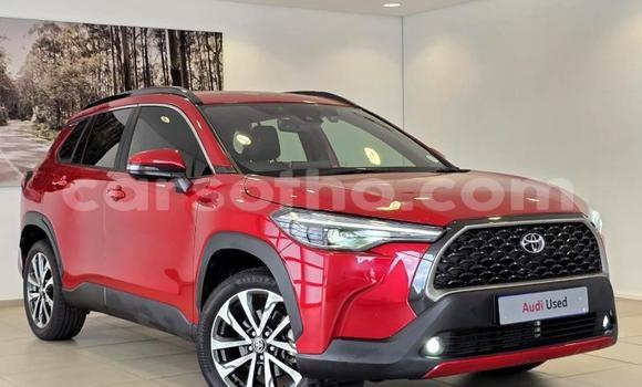 اشتري مستعمل Toyota Corolla Cross Red سيارة في Maseru في Maseru اشتري مستعمل Toyota Corolla Cross Red سيارة في Maseru في Maseru