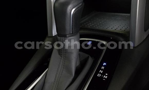 اشتري مستعمل Toyota Corolla Cross Red سيارة في Maseru في Maseru اشتري مستعمل Toyota Corolla Cross Red سيارة في Maseru في Maseru