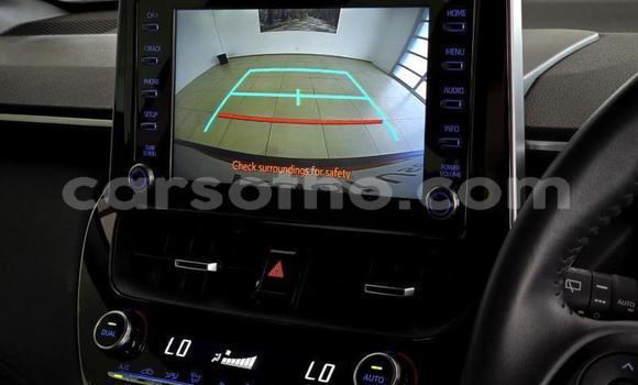 اشتري مستعمل Toyota Corolla Cross Red سيارة في Maseru في Maseru اشتري مستعمل Toyota Corolla Cross Red سيارة في Maseru في Maseru