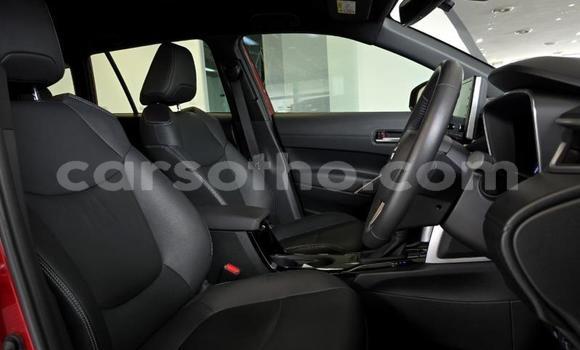 اشتري مستعمل Toyota Corolla Cross Red سيارة في Maseru في Maseru اشتري مستعمل Toyota Corolla Cross Red سيارة في Maseru في Maseru