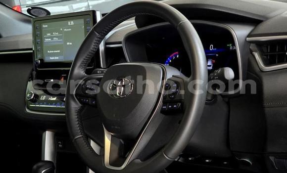 اشتري مستعمل Toyota Corolla Cross Red سيارة في Maseru في Maseru اشتري مستعمل Toyota Corolla Cross Red سيارة في Maseru في Maseru