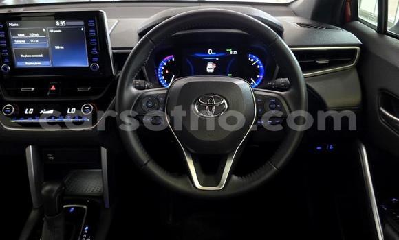 اشتري مستعمل Toyota Corolla Cross Red سيارة في Maseru في Maseru اشتري مستعمل Toyota Corolla Cross Red سيارة في Maseru في Maseru