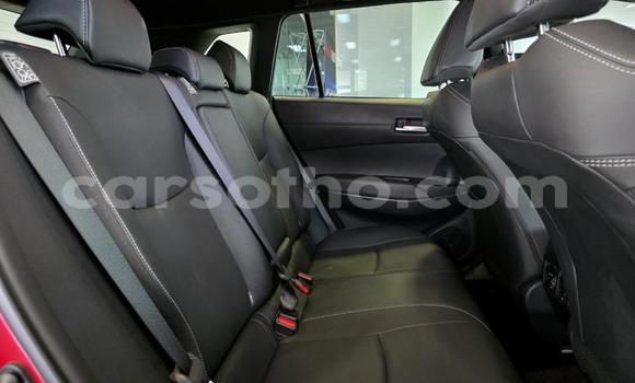 اشتري مستعمل Toyota Corolla Cross Red سيارة في Maseru في Maseru اشتري مستعمل Toyota Corolla Cross Red سيارة في Maseru في Maseru