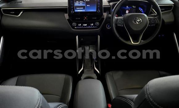 اشتري مستعمل Toyota Corolla Cross Red سيارة في Maseru في Maseru اشتري مستعمل Toyota Corolla Cross Red سيارة في Maseru في Maseru