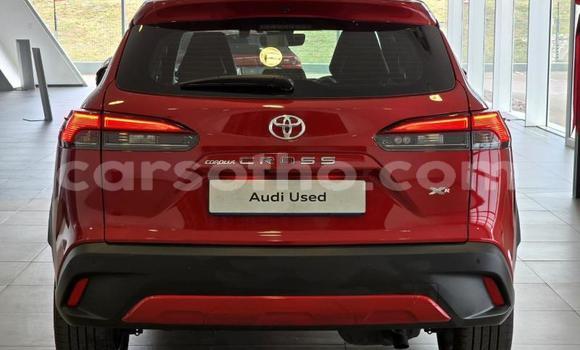 اشتري مستعمل Toyota Corolla Cross Red سيارة في Maseru في Maseru اشتري مستعمل Toyota Corolla Cross Red سيارة في Maseru في Maseru