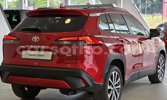 اشتري مستعمل Toyota Corolla Cross Red سيارة في Maseru في Maseru اشتري مستعمل Toyota Corolla Cross Red سيارة في Maseru في Maseru