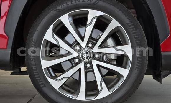 اشتري مستعمل Toyota Corolla Cross Red سيارة في Maseru في Maseru اشتري مستعمل Toyota Corolla Cross Red سيارة في Maseru في Maseru