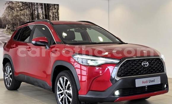 اشتري مستعمل Toyota Corolla Cross Red سيارة في Maseru في Maseru اشتري مستعمل Toyota Corolla Cross Red سيارة في Maseru في Maseru