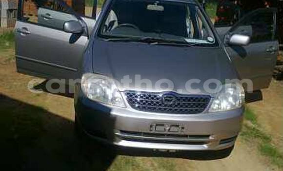 Sayi Na hannu Toyota Corolla Silver Mota in Maseru a Maseru Sayi Na hannu Toyota Corolla Silver Mota in Maseru a Maseru