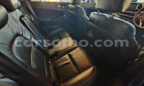 Sayi Na hannu Hyundai Tucson Blue Mota in Maseru a Maseru Sayi Na hannu Hyundai Tucson Blue Mota in Maseru a Maseru