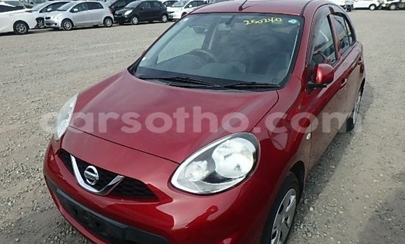 Buy Used Nissan March Red Car in Maseru in Maseru Buy Used Nissan March Red Car in Maseru in Maseru