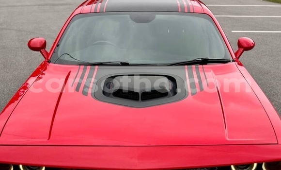 Acheter Occasion Voiture Dodge Challenger Rouge à Maseru, Maseru Acheter Occasion Voiture Dodge Challenger Rouge à Maseru, Maseru