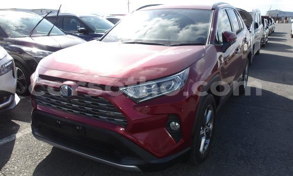 اشتري مستعمل Toyota RAV4 Red سيارة في Maseru في Maseru اشتري مستعمل Toyota RAV4 Red سيارة في Maseru في Maseru