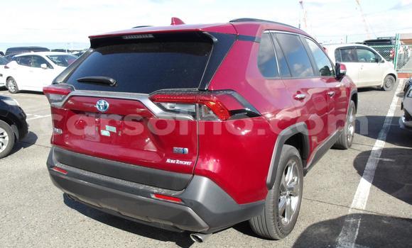 اشتري مستعمل Toyota RAV4 Red سيارة في Maseru في Maseru اشتري مستعمل Toyota RAV4 Red سيارة في Maseru في Maseru