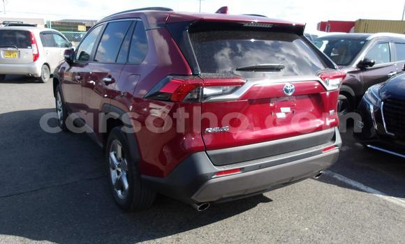 اشتري مستعمل Toyota RAV4 Red سيارة في Maseru في Maseru اشتري مستعمل Toyota RAV4 Red سيارة في Maseru في Maseru