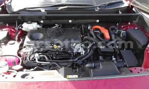 اشتري مستعمل Toyota RAV4 Red سيارة في Maseru في Maseru اشتري مستعمل Toyota RAV4 Red سيارة في Maseru في Maseru