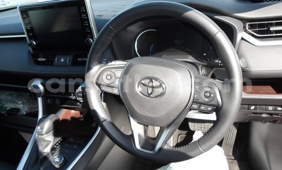 اشتري مستعمل Toyota RAV4 Red سيارة في Maseru في Maseru اشتري مستعمل Toyota RAV4 Red سيارة في Maseru في Maseru