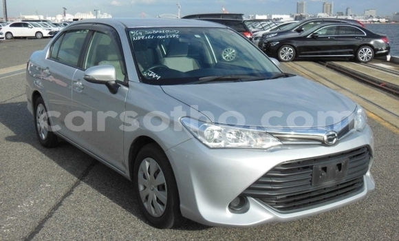 Buy Used Toyota Corolla Silver Car in Maseru in Maseru