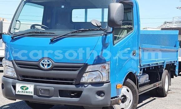 Acheter Occasion Utilitaire Toyota Dyna Bleu à Maseru, Maseru