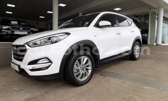 Sayi Na hannu Hyundai Tucson White Mota in Maseru a Maseru Sayi Na hannu Hyundai Tucson White Mota in Maseru a Maseru
