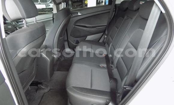 Sayi Na hannu Hyundai Tucson White Mota in Maseru a Maseru Sayi Na hannu Hyundai Tucson White Mota in Maseru a Maseru
