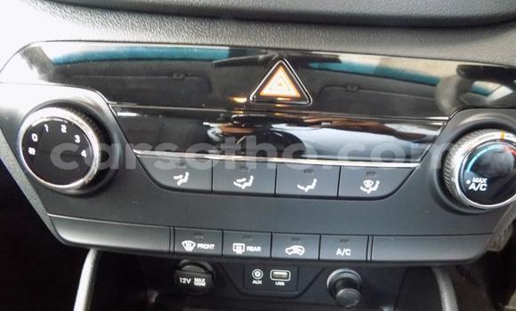 Sayi Na hannu Hyundai Tucson White Mota in Maseru a Maseru Sayi Na hannu Hyundai Tucson White Mota in Maseru a Maseru