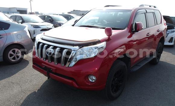 اشتري مستعمل Toyota Land Cruiser Prado Red سيارة في Maseru في Maseru اشتري مستعمل Toyota Land Cruiser Prado Red سيارة في Maseru في Maseru
