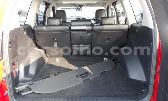 اشتري مستعمل Toyota Land Cruiser Prado Red سيارة في Maseru في Maseru اشتري مستعمل Toyota Land Cruiser Prado Red سيارة في Maseru في Maseru
