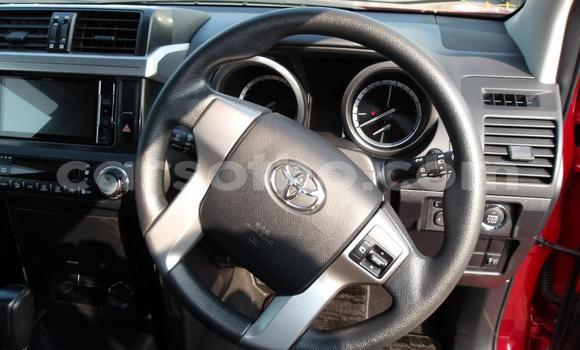 اشتري مستعمل Toyota Land Cruiser Prado Red سيارة في Maseru في Maseru اشتري مستعمل Toyota Land Cruiser Prado Red سيارة في Maseru في Maseru