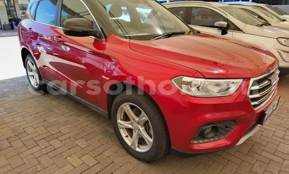Acheter Occasion Voiture Haval H2 Rouge à Maseru, Maseru