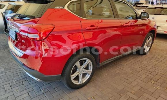 اشتري مستعمل Haval H2 Red سيارة في Maseru في Maseru اشتري مستعمل Haval H2 Red سيارة في Maseru في Maseru