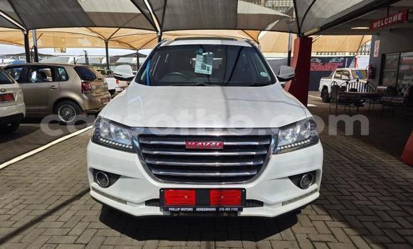 اشتري مستعمل Haval H2 White سيارة في Maseru في Maseru اشتري مستعمل Haval H2 White سيارة في Maseru في Maseru