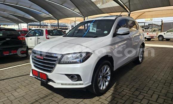 اشتري مستعمل Haval H2 White سيارة في Maseru في Maseru اشتري مستعمل Haval H2 White سيارة في Maseru في Maseru