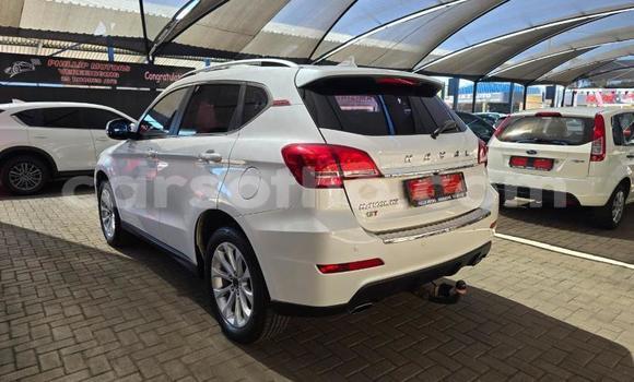 اشتري مستعمل Haval H2 White سيارة في Maseru في Maseru اشتري مستعمل Haval H2 White سيارة في Maseru في Maseru