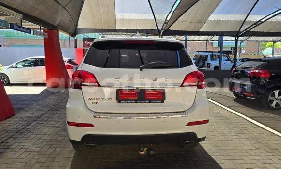 اشتري مستعمل Haval H2 White سيارة في Maseru في Maseru اشتري مستعمل Haval H2 White سيارة في Maseru في Maseru