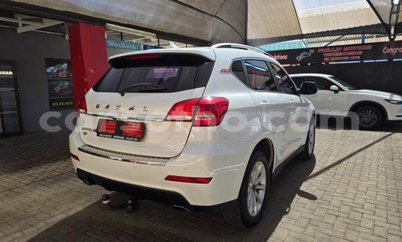 اشتري مستعمل Haval H2 White سيارة في Maseru في Maseru اشتري مستعمل Haval H2 White سيارة في Maseru في Maseru