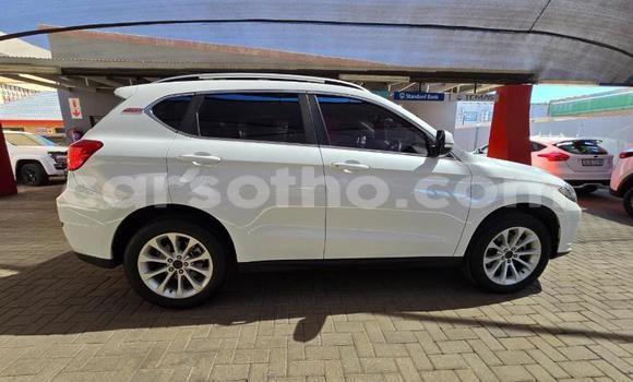 اشتري مستعمل Haval H2 White سيارة في Maseru في Maseru اشتري مستعمل Haval H2 White سيارة في Maseru في Maseru
