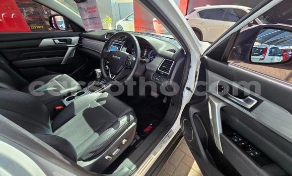 اشتري مستعمل Haval H2 White سيارة في Maseru في Maseru اشتري مستعمل Haval H2 White سيارة في Maseru في Maseru