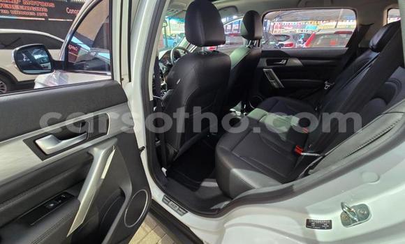 اشتري مستعمل Haval H2 White سيارة في Maseru في Maseru اشتري مستعمل Haval H2 White سيارة في Maseru في Maseru