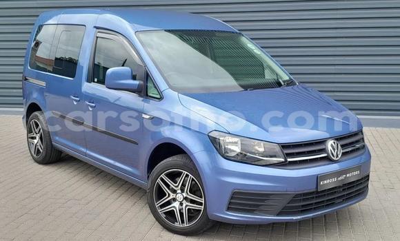 Buy Used Volkswagen Caddy Blue Car in Maseru in Maseru Buy Used Volkswagen Caddy Blue Car in Maseru in Maseru